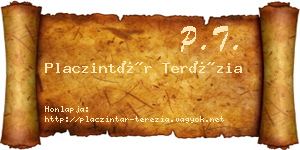 Placzintár Terézia névjegykártya